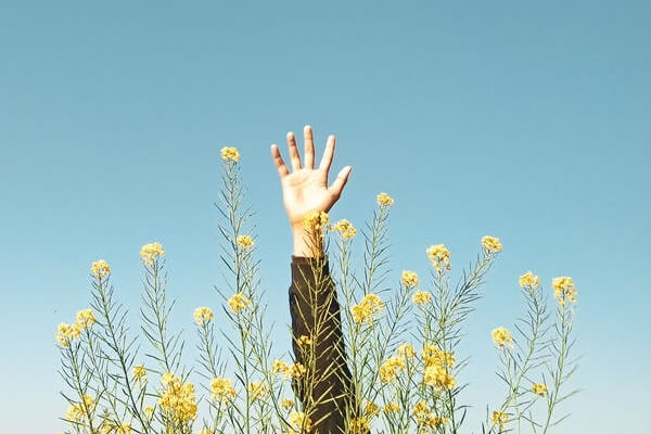 Comprendre Changement Climatique Ciel Fleurs